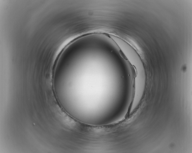 X0000091940948200709051520