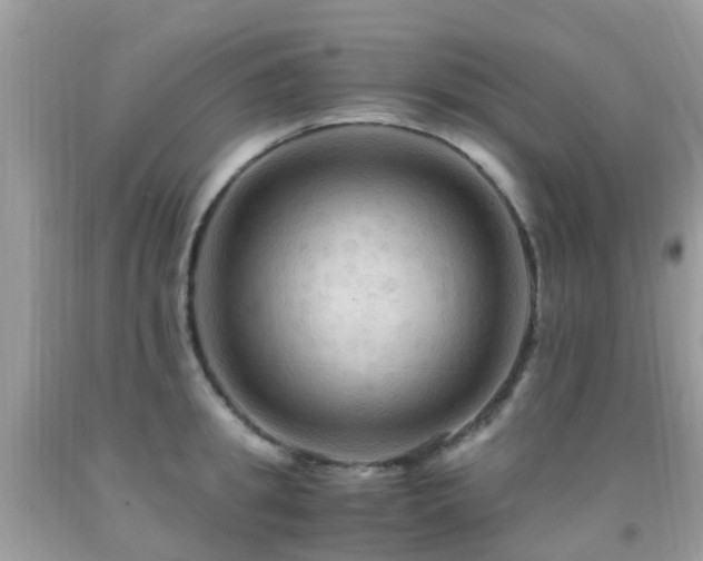 X0000091940949200709051520