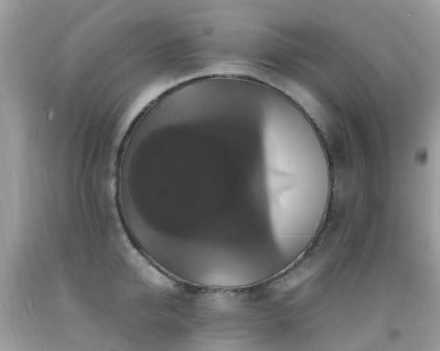 X0000091940950200709051520