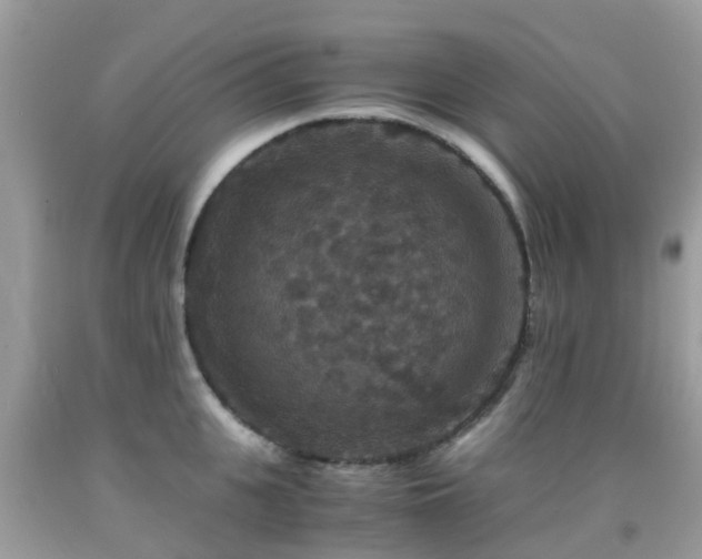 X0000091940951200709051520