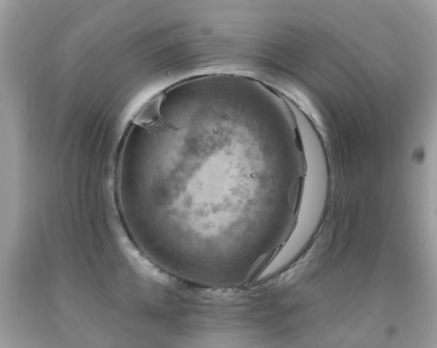 X0000091940952200709051520