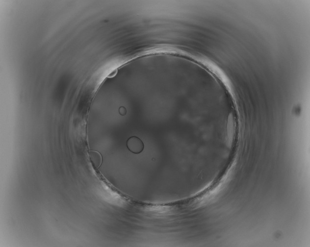 X0000091940953200709051520