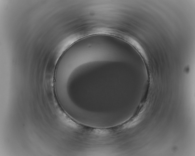 X0000091940954200709051520