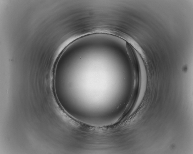 X0000091940955200709051520