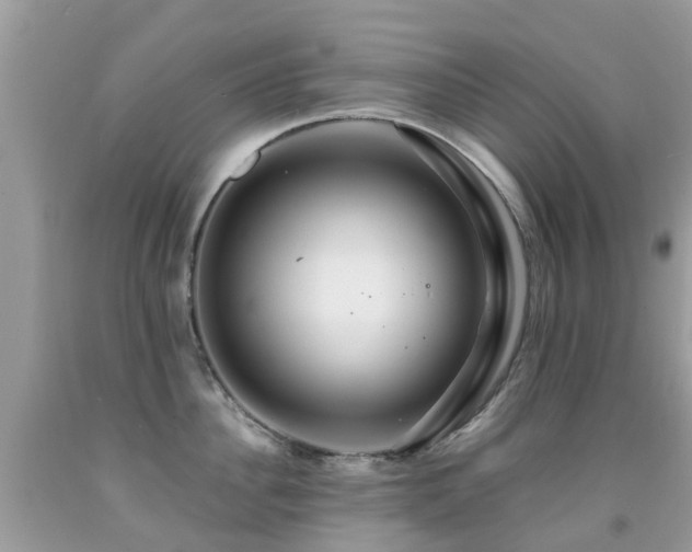 X0000091940956200709051520