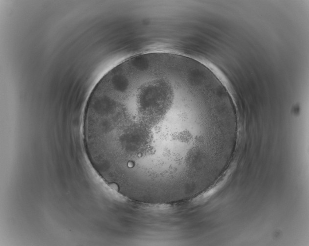 X0000091940957200709051520