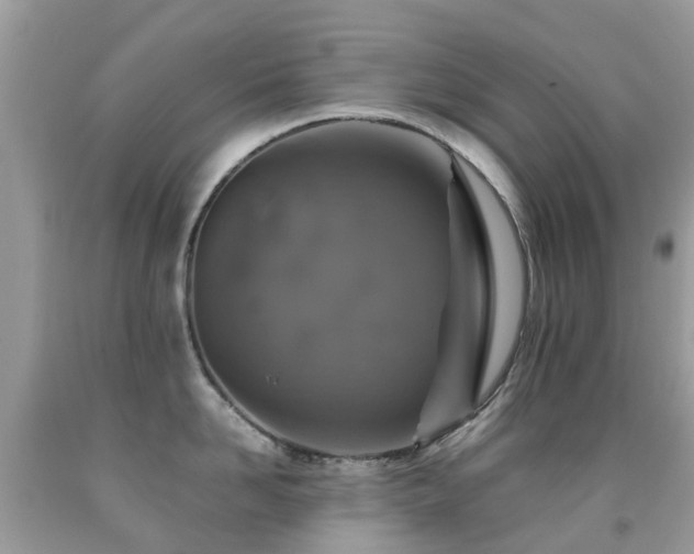 X0000091940958200709051520