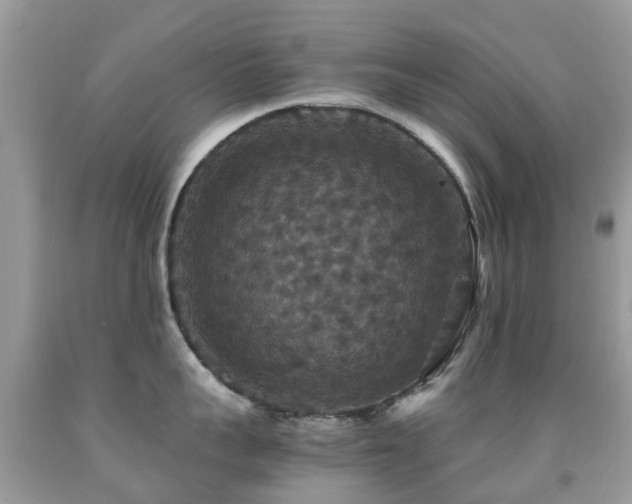 X0000091940959200709051520