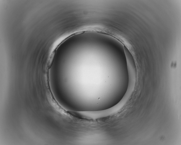 X0000091940960200709051520