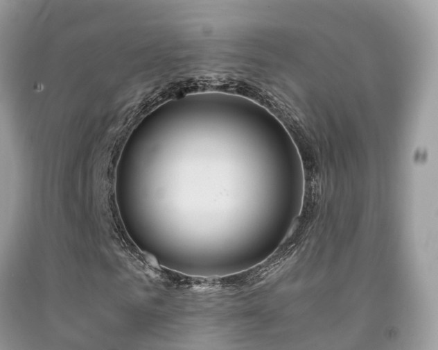 X0000091940961200709051519