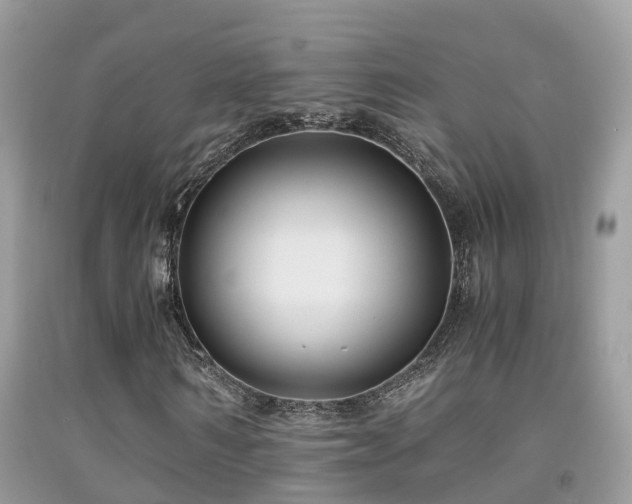 X0000091940962200709051519