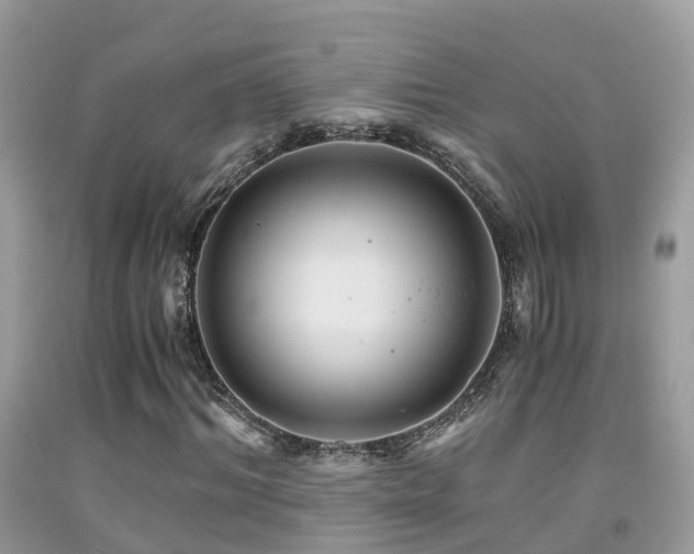 X0000091940964200709051519