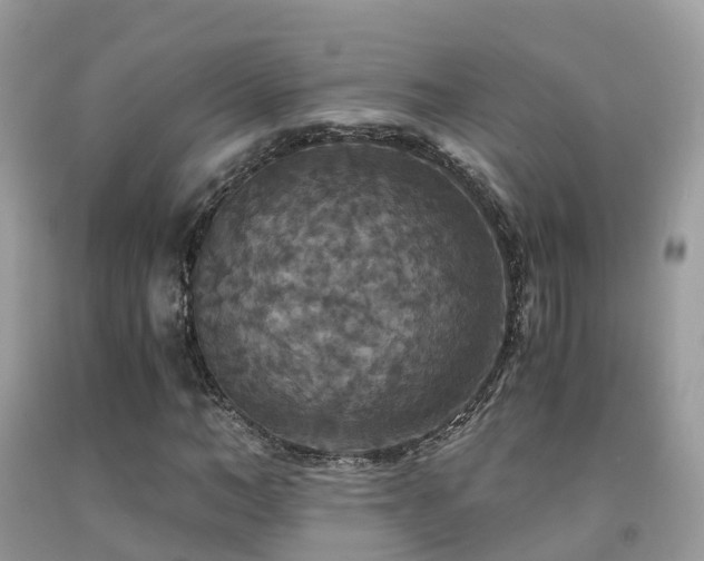 X0000091940966200709051519