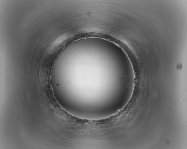 X0000091940967200709051519