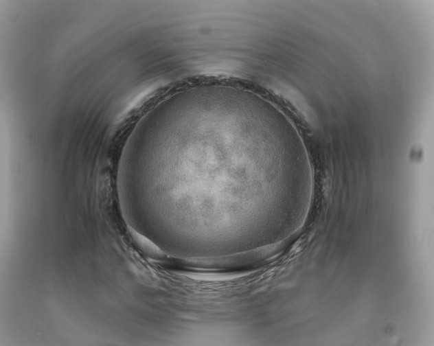 X0000091940968200709051519