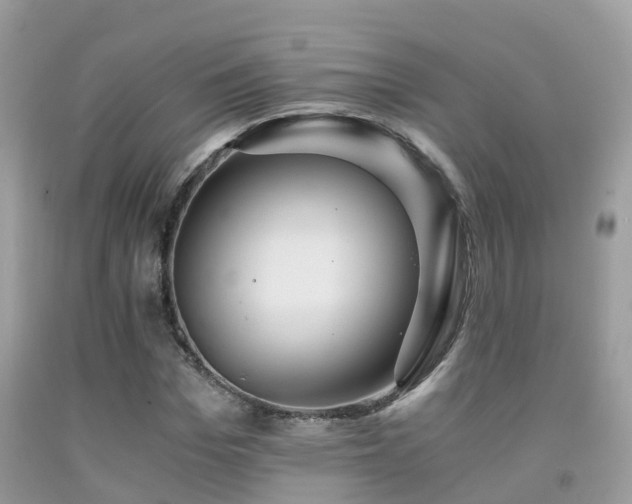 X0000091940969200709051519