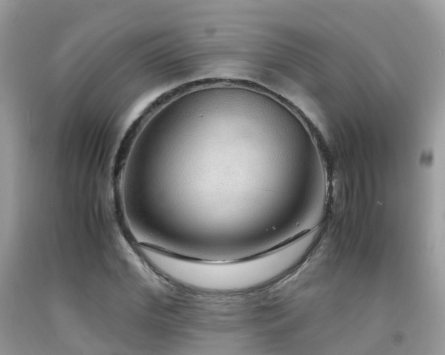 X0000091940972200709051519