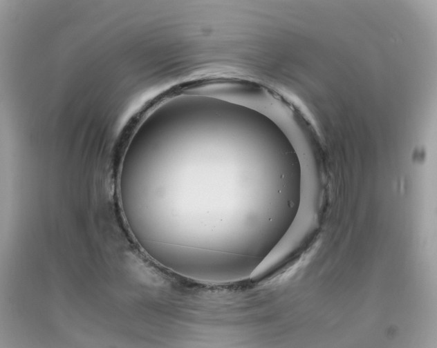 X0000091940973200709051519