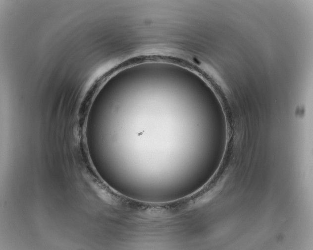 X0000091940974200709051519