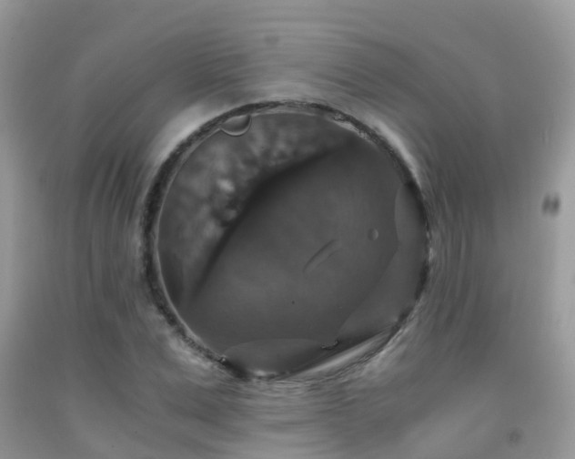 X0000091940975200709051519