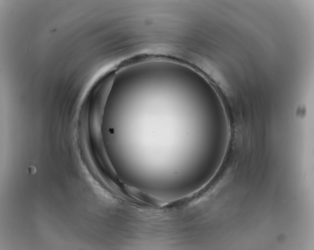 X0000091940976200709051519