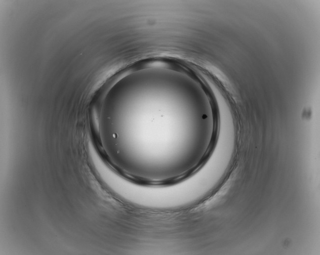 X0000091940977200709051519