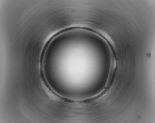 X0000091940980200709051519