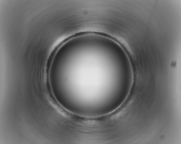 X0000091940982200709051519