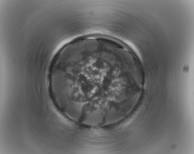 X0000091940983200709051519