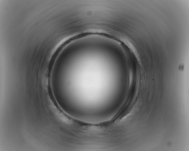 X0000091940984200709051519