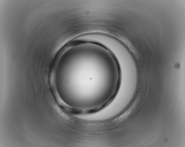 X0000091940985200709051519