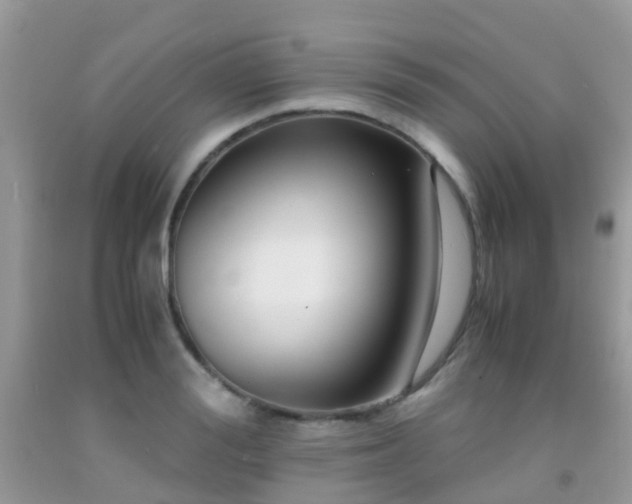 X0000091940988200709051519