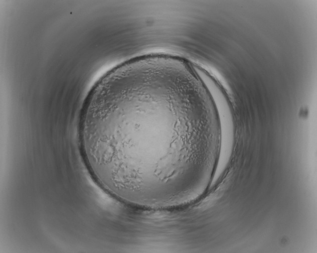 X0000091940991200709051519