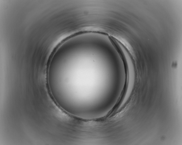 X0000091940992200709051519