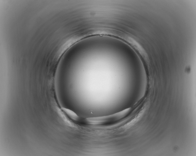 X0000091940993200709051519