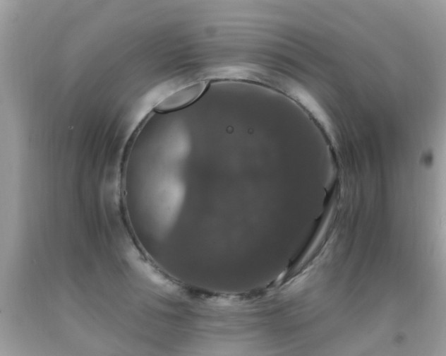 X0000091940994200709051519