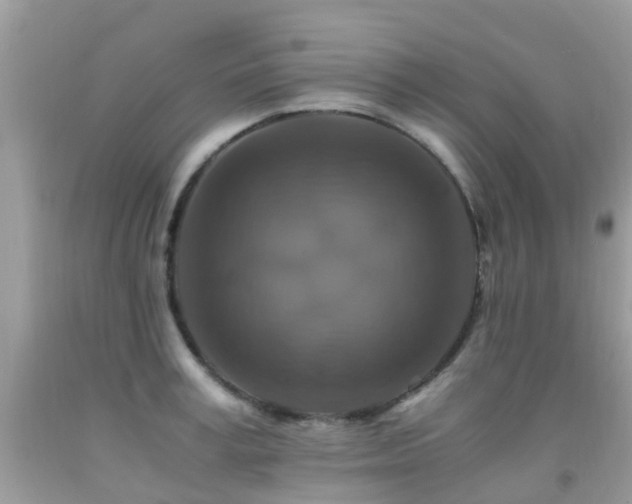 X0000091940995200709051519