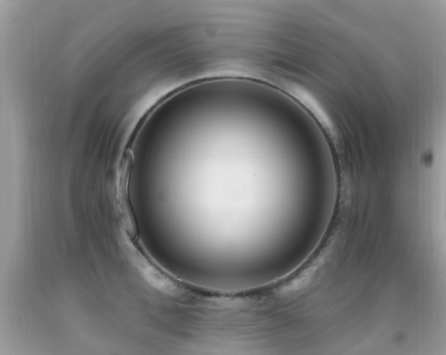 X0000091940996200709051519