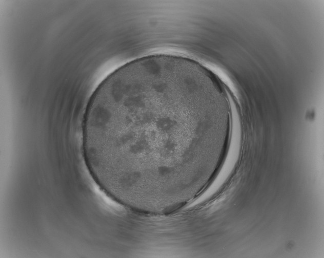 X0000091940999200709051519