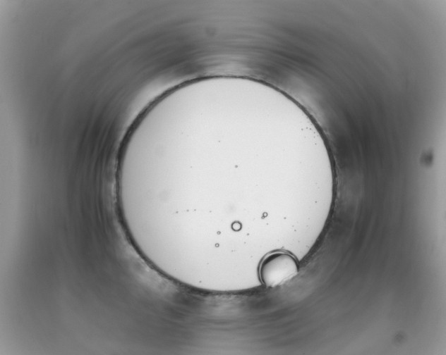 X0000091941000200709051519