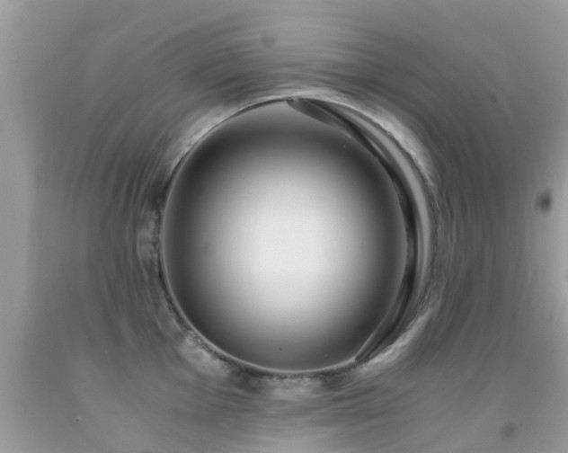 X0000091941001200709051519