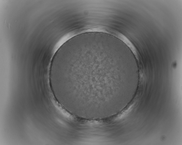 X0000091941002200709051519