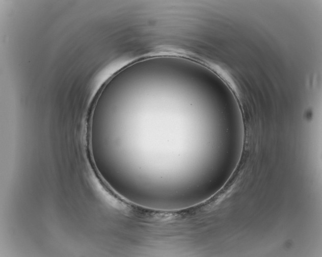 X0000091941003200709051519