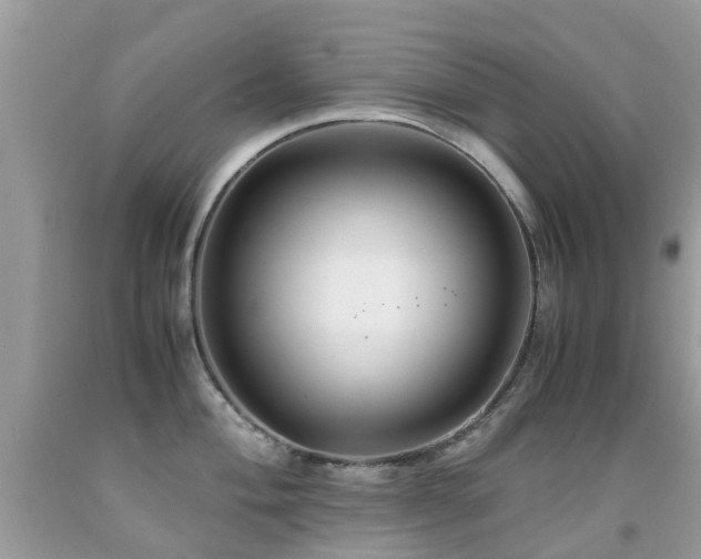 X0000091941004200709051519