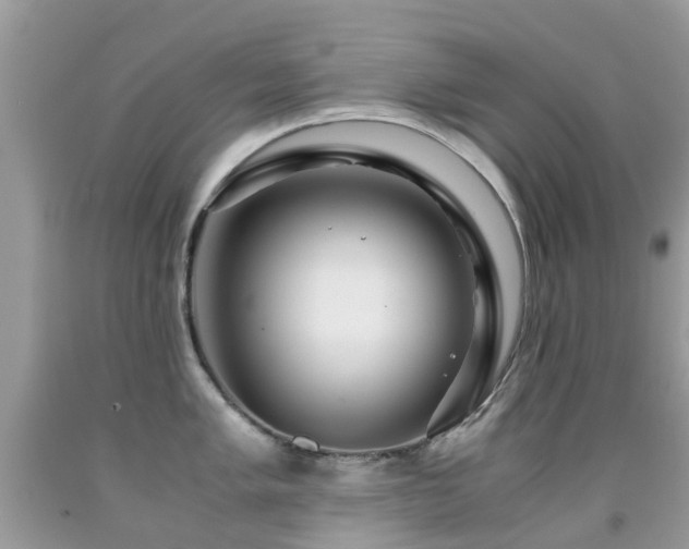 X0000091941005200709051519