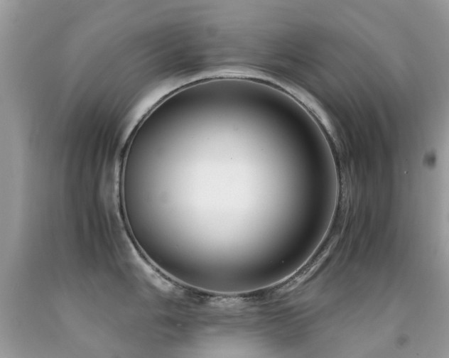 X0000091941006200709051519