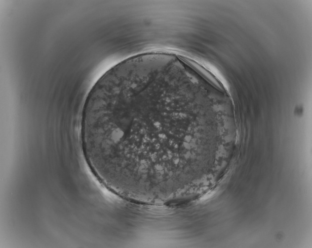 X0000091941007200709051519