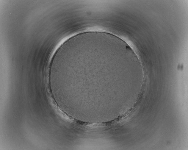 X0000091941008200709051519