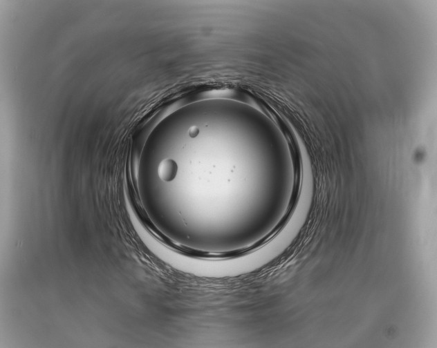 X0000091941010200709051518