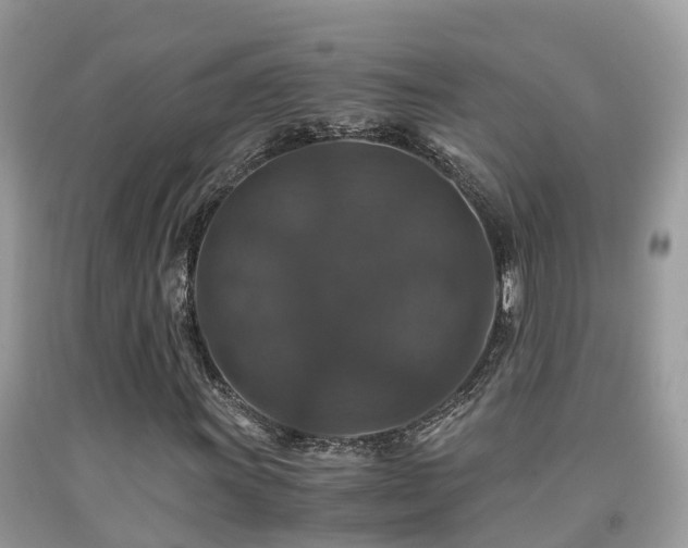 X0000091941011200709051518